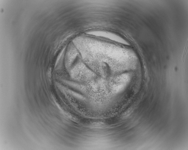 X0000052640066200507292316