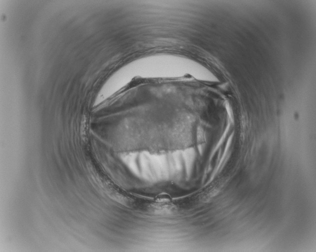 X0000052640073200507292316