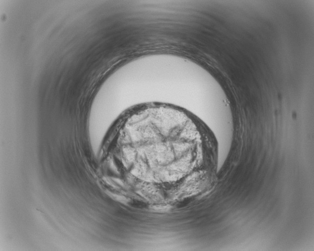 X0000052640076200507292316