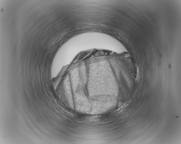 X0000052640078200507292316