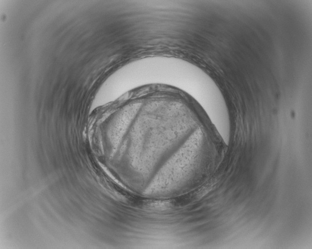 X0000052640081200507292316