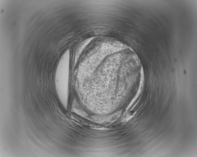 X0000052640082200507292316