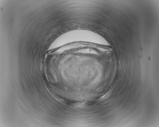 X0000052640086200507292316