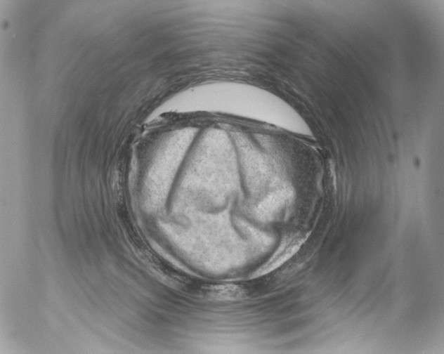 X0000052640087200507292316