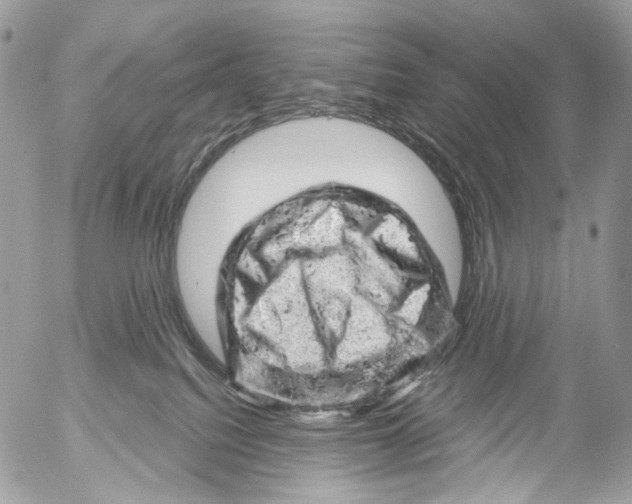 X0000052640088200507292316