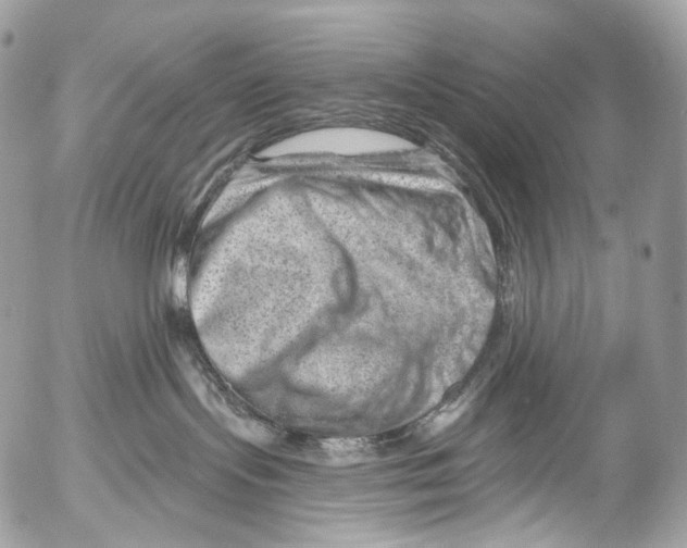 X0000052640095200507292316