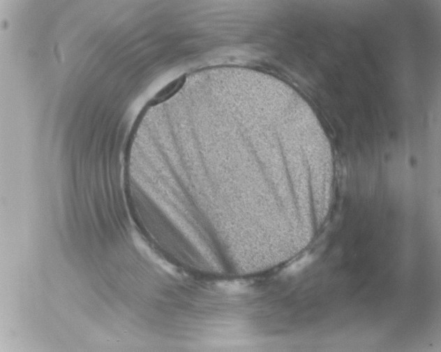 X0000052640100200507292315