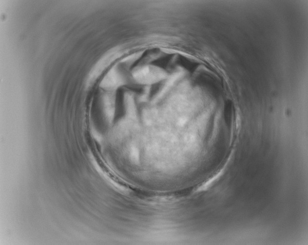 X0000052640101200507292315