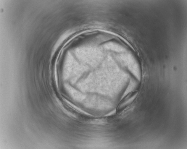X0000052640102200507292315