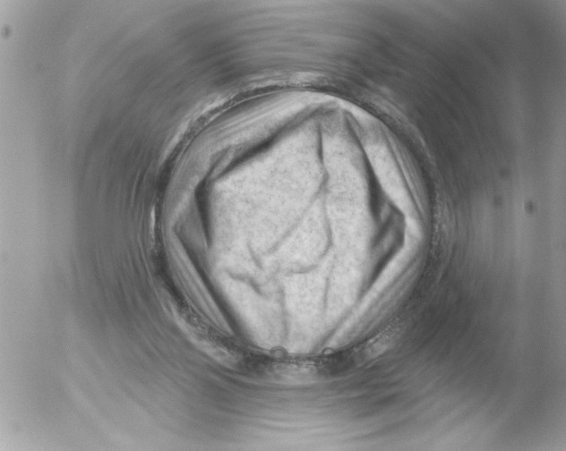 X0000052640110200507292315