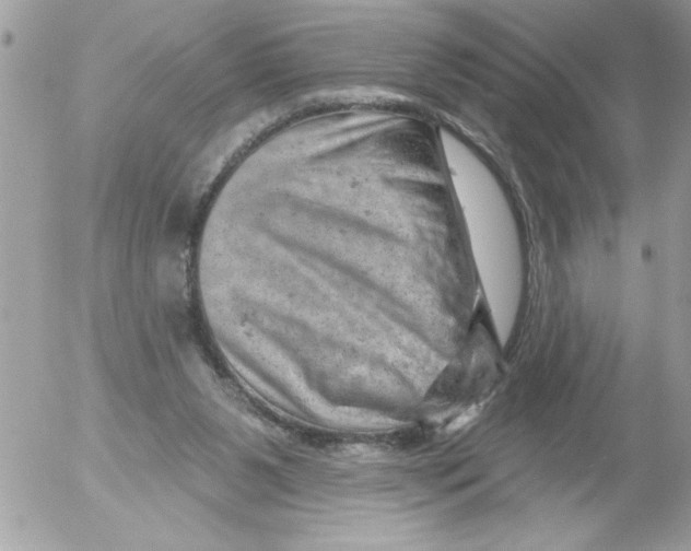 X0000052640111200507292315