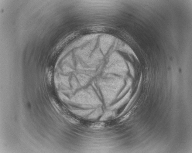 X0000052640124200507292315