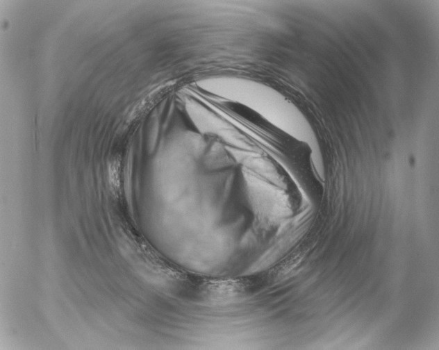 X0000052640127200507292315