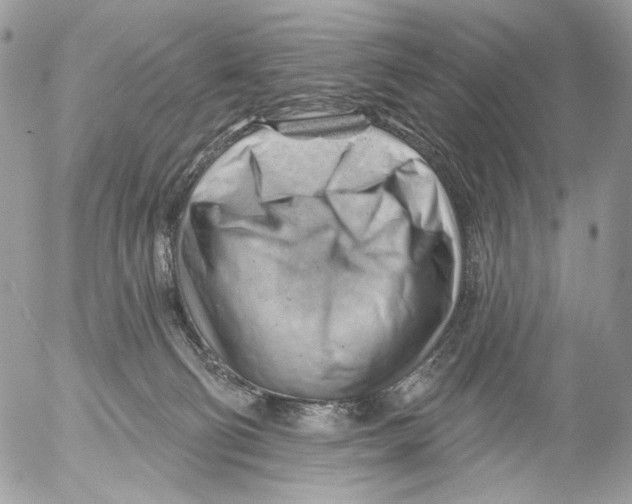 X0000052640130200507292315