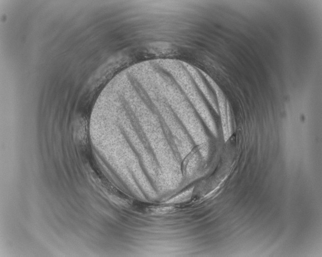 X0000052640132200507292315