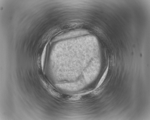 X0000052640138200507292315