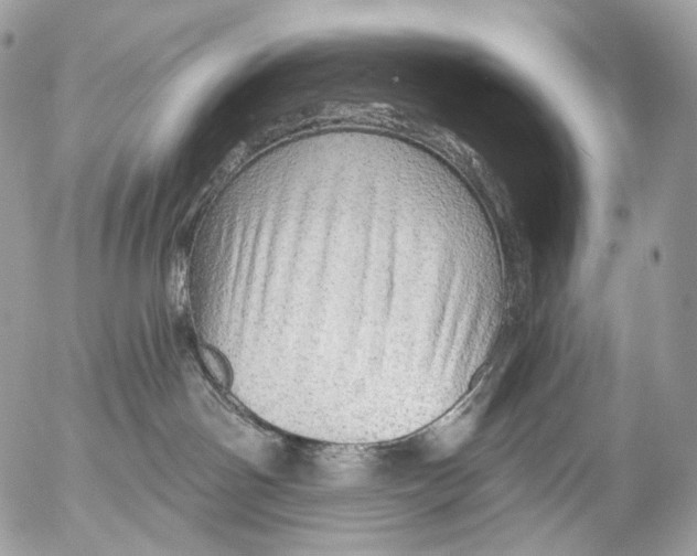 X0000052640142200507292315