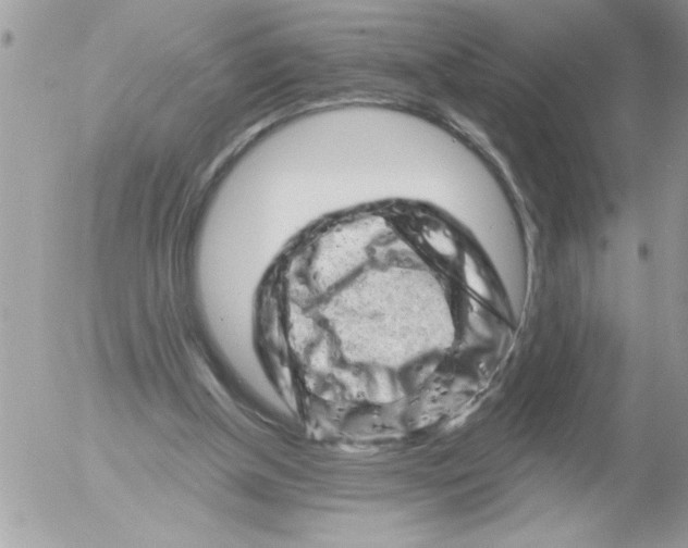 X0000052640154200507292314