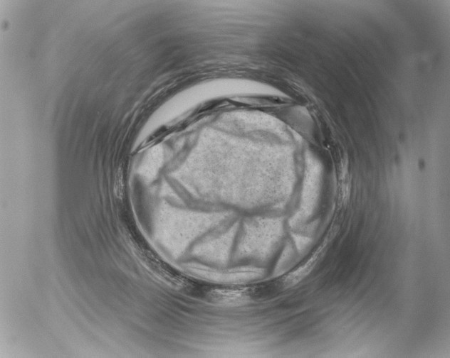X0000052640170200507292314