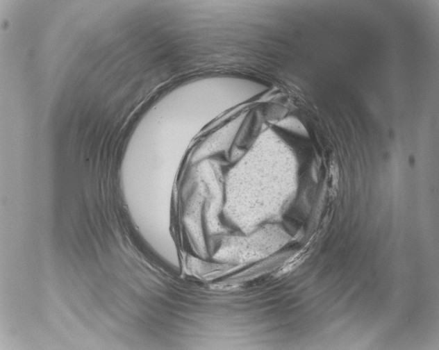 X0000052640172200507292314