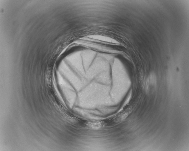 X0000052640181200507292314