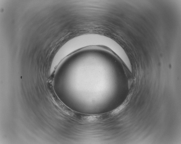 X0000052640184200507292315