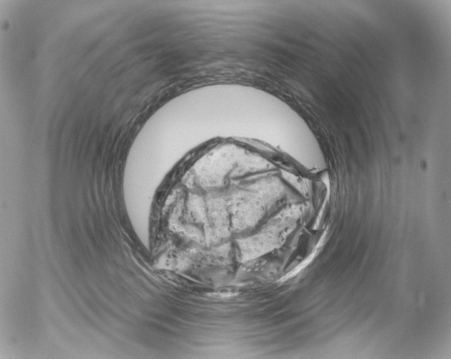 X0000052640186200507292315