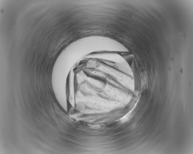 X0000052640190200507292315