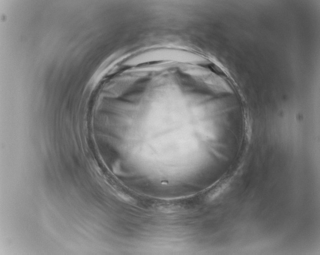 X0000052640199200507292314