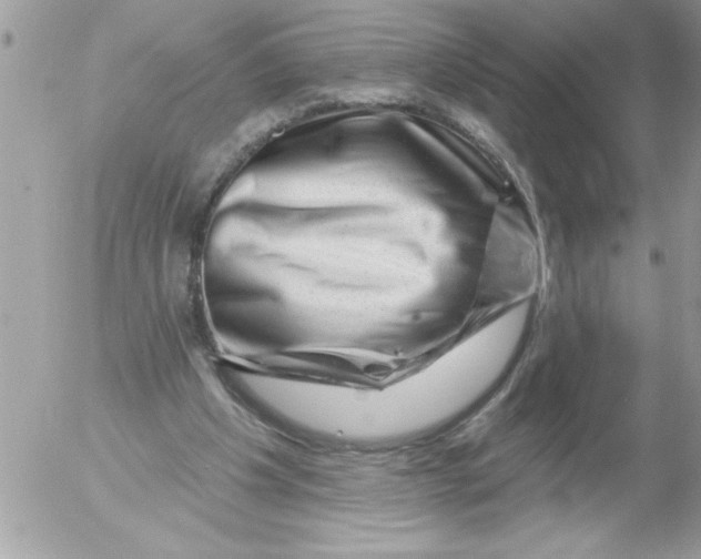 X0000052640201200507292314