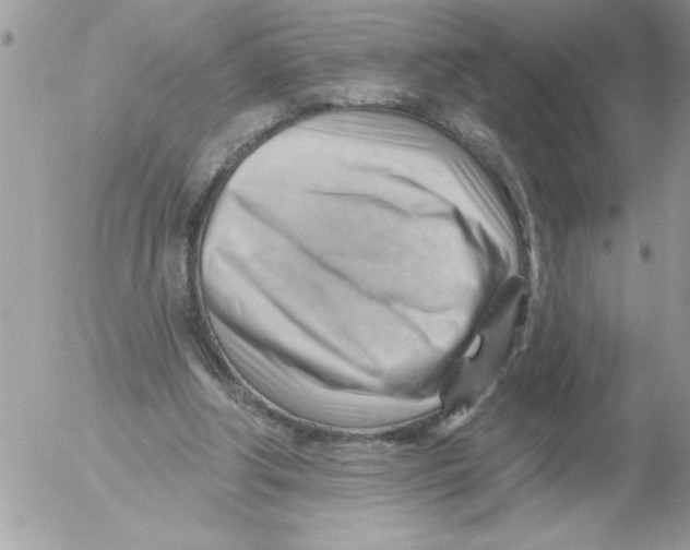 X0000052640202200507292314