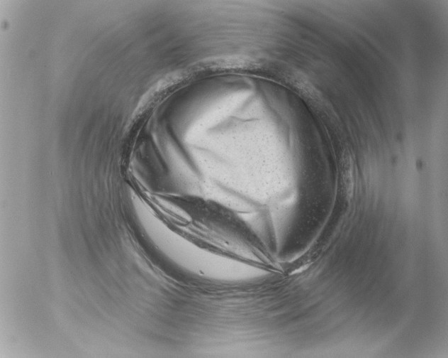X0000052640207200507292314