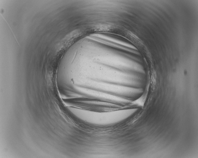 X0000052640209200507292314