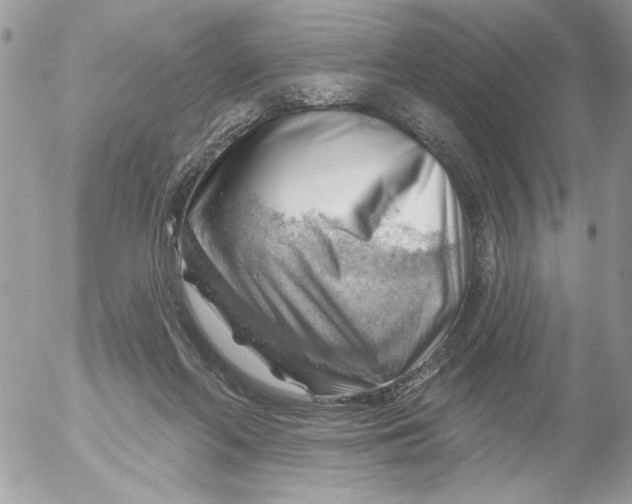 X0000052640214200507292313