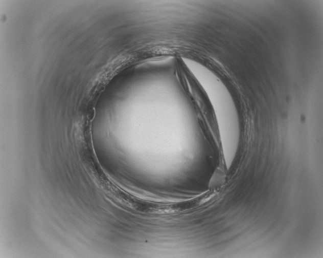 X0000052640217200507292313