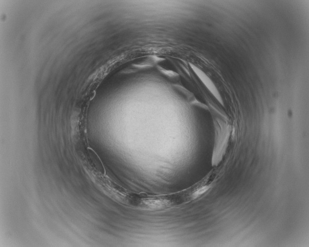 X0000052640221200507292313