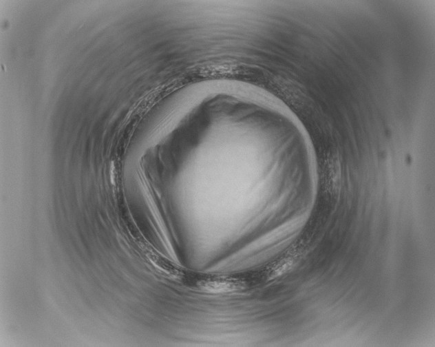 X0000052640224200507292313