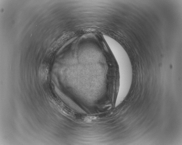 X0000052640227200507292313