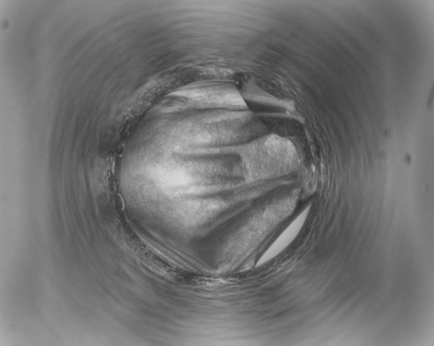 X0000052640229200507292313