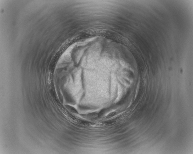 X0000052640232200507292313