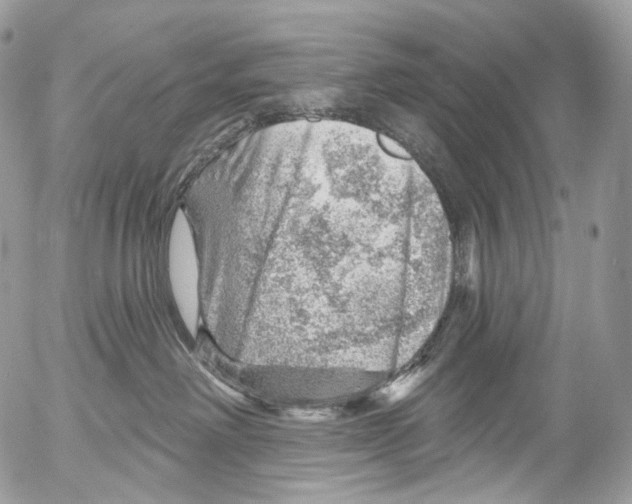 X0000052640238200507292313
