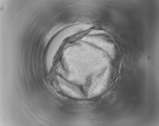 X0000052640242200507292312