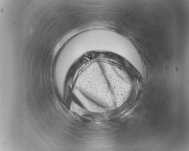 X0000052640244200507292312
