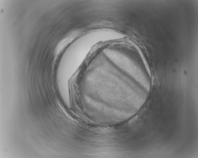 X0000052640245200507292312