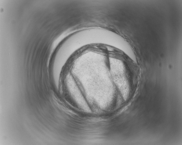 X0000052640246200507292312