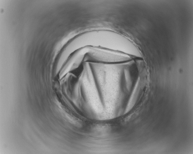 X0000052640248200507292312