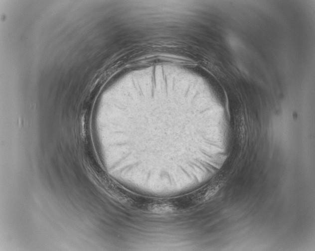 X0000052640262200507292313