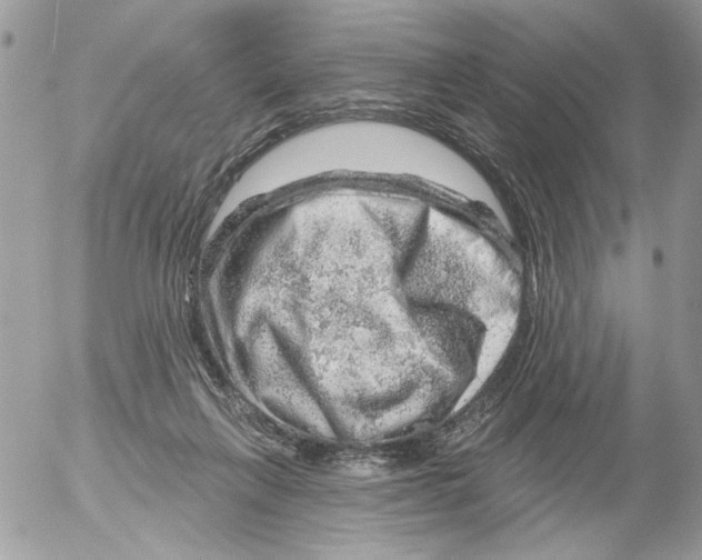 X0000052640263200507292313