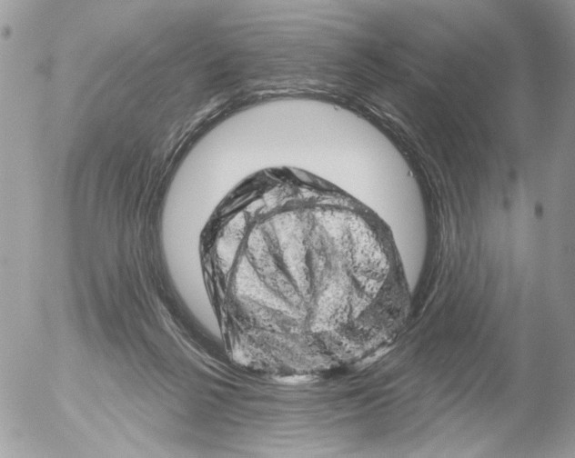X0000052640264200507292313