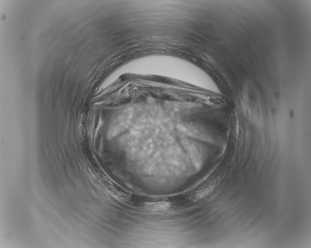 X0000052640266200507292313